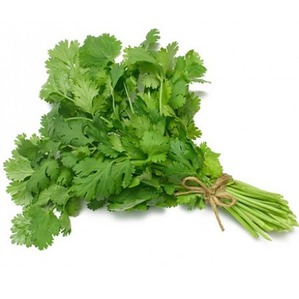 Coriander Leaf / Dhania Pata (Green) With Native / Deshi Flavor & Taste (Fresh)