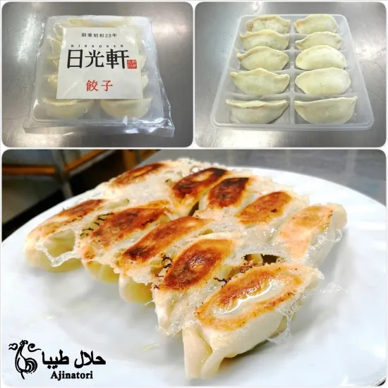 NIKKOKEN GYOZA