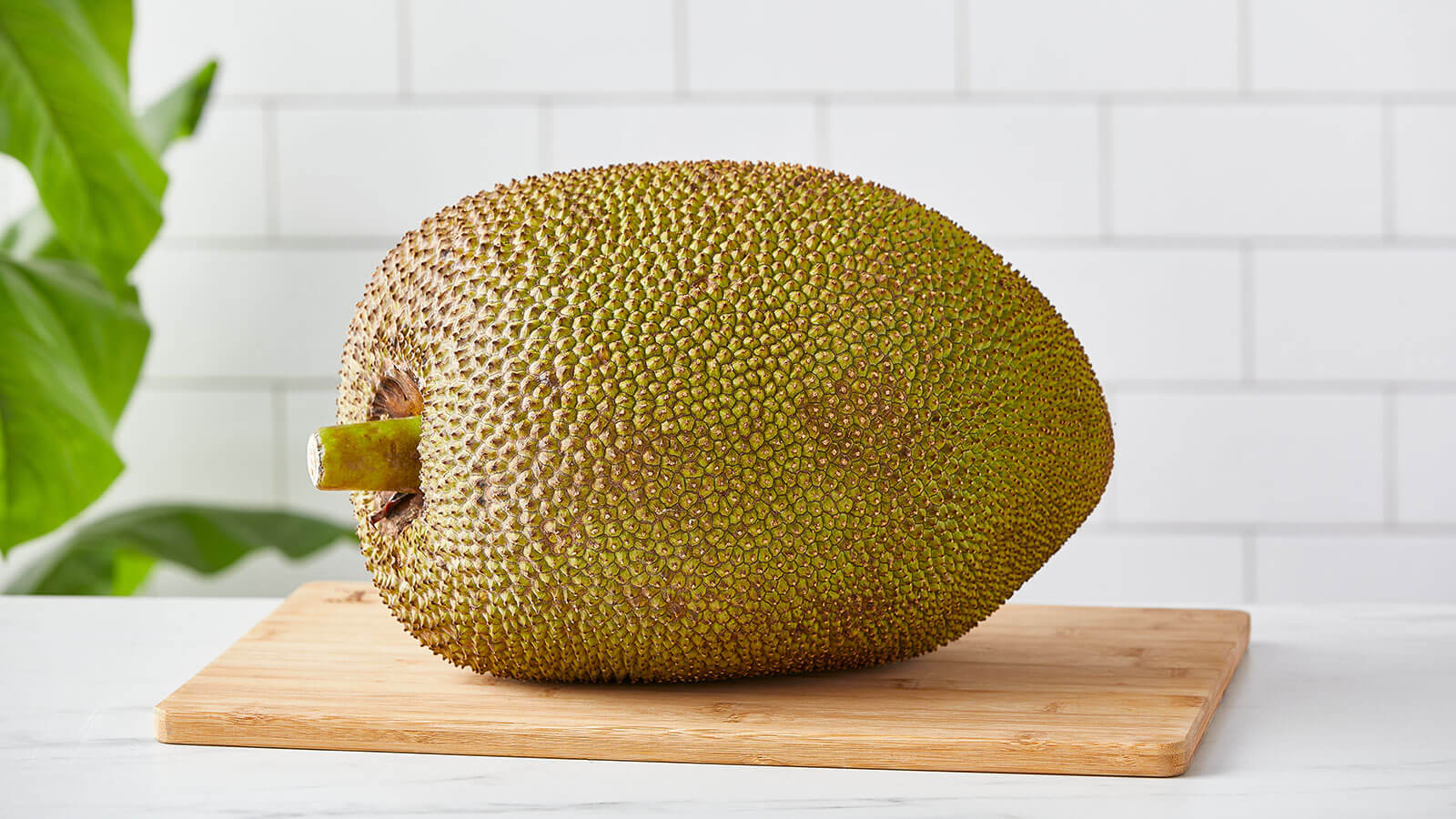 Kathal / Ripe Jackfruit Whole