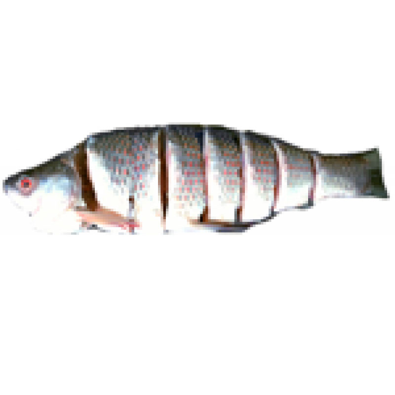 Ruhi Whole Cut *With Fresh Shad (Taste)* :: 3.0-3.01kg [Variable Price]