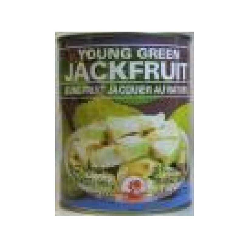 Young Jackfruit / Kancha Kathal (Canned)
