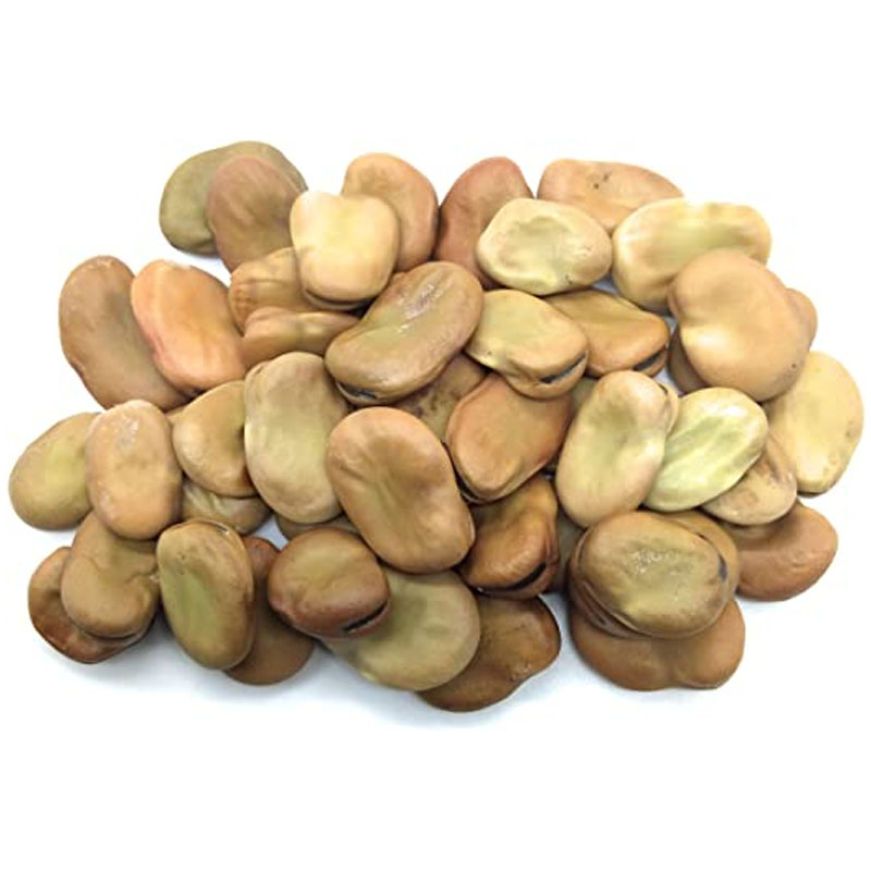 Fava Beans / Sora Mame/Egyptian Bean