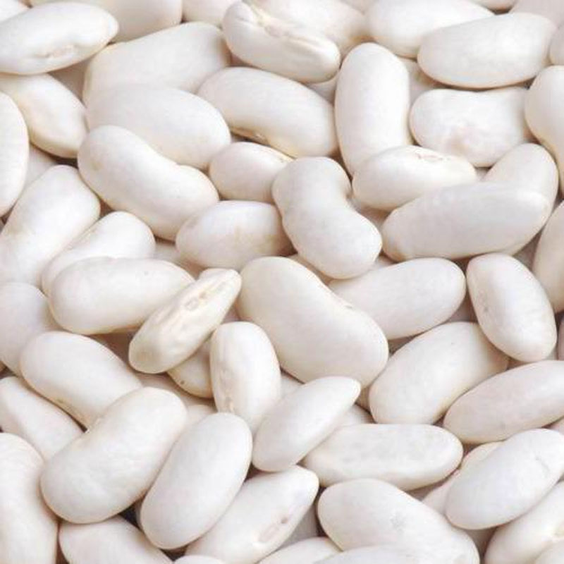 White Lobiya / White Beans (With No Black Colored Eye)