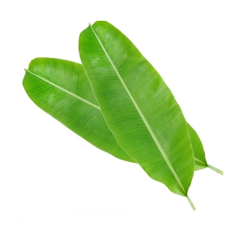 Daun Pisang / Banana Leaf (Round / Flat)450-550gm
