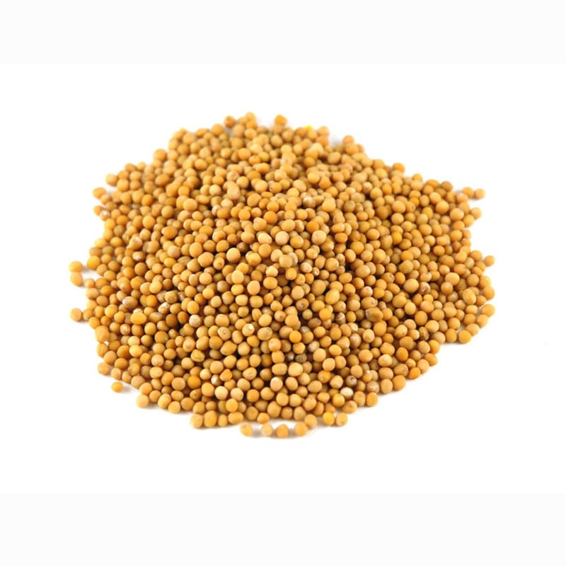 Mustard Seed  (Yellow)