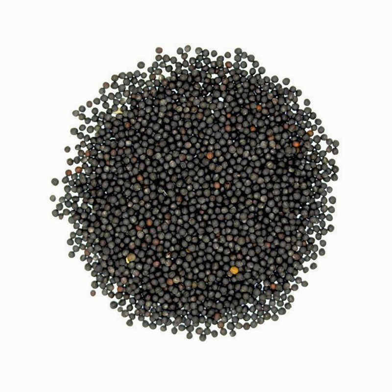 Mustard Seed  (Black)